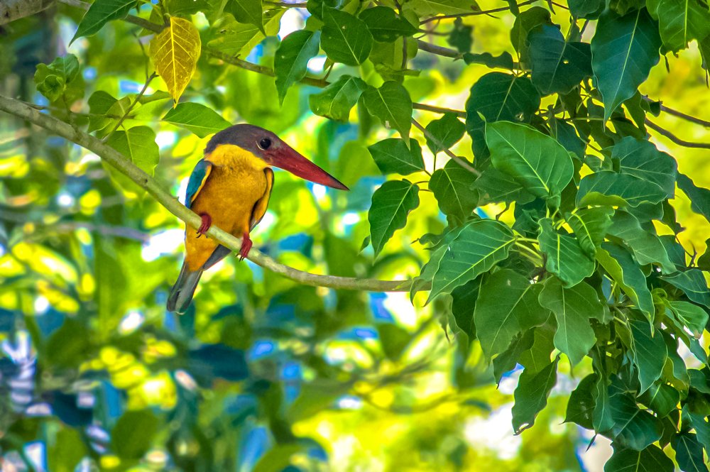 Waiting in Colourful World