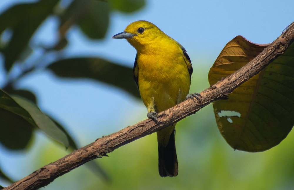 Photograph by PRIYABRATA DEBNATH