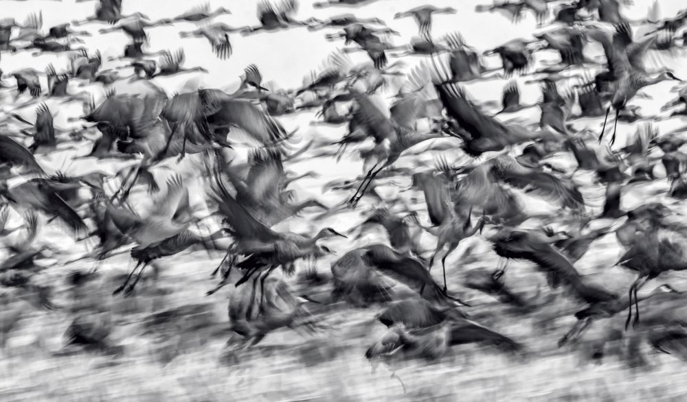 Photograph by  HITTHEROAD