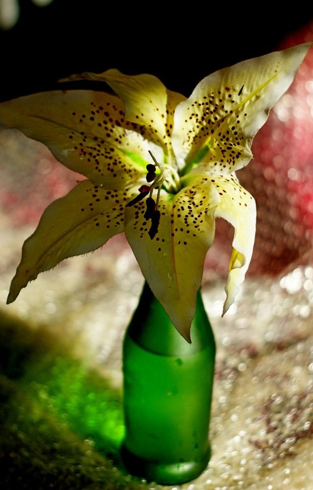 Photograph by Евгений Бригиневич - Снежин