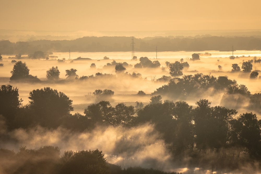 Photograph by Uliya Krakos