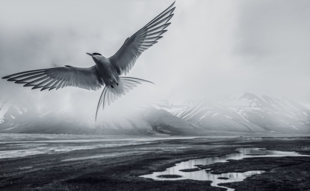 Photograph by  HITTHEROAD