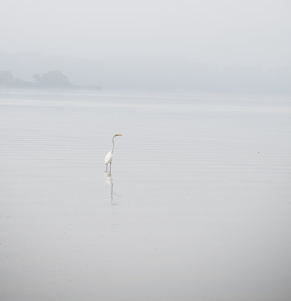 Photograph by Tatiana Zuikova