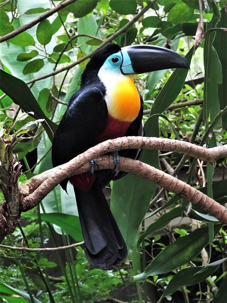 Photograph by Людмила