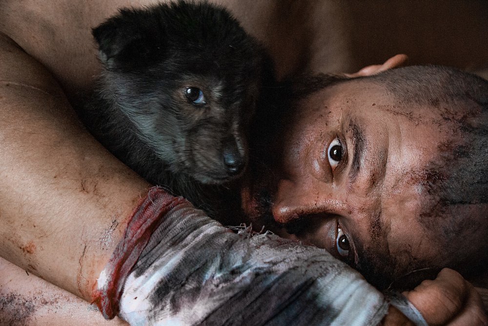 Сострадание