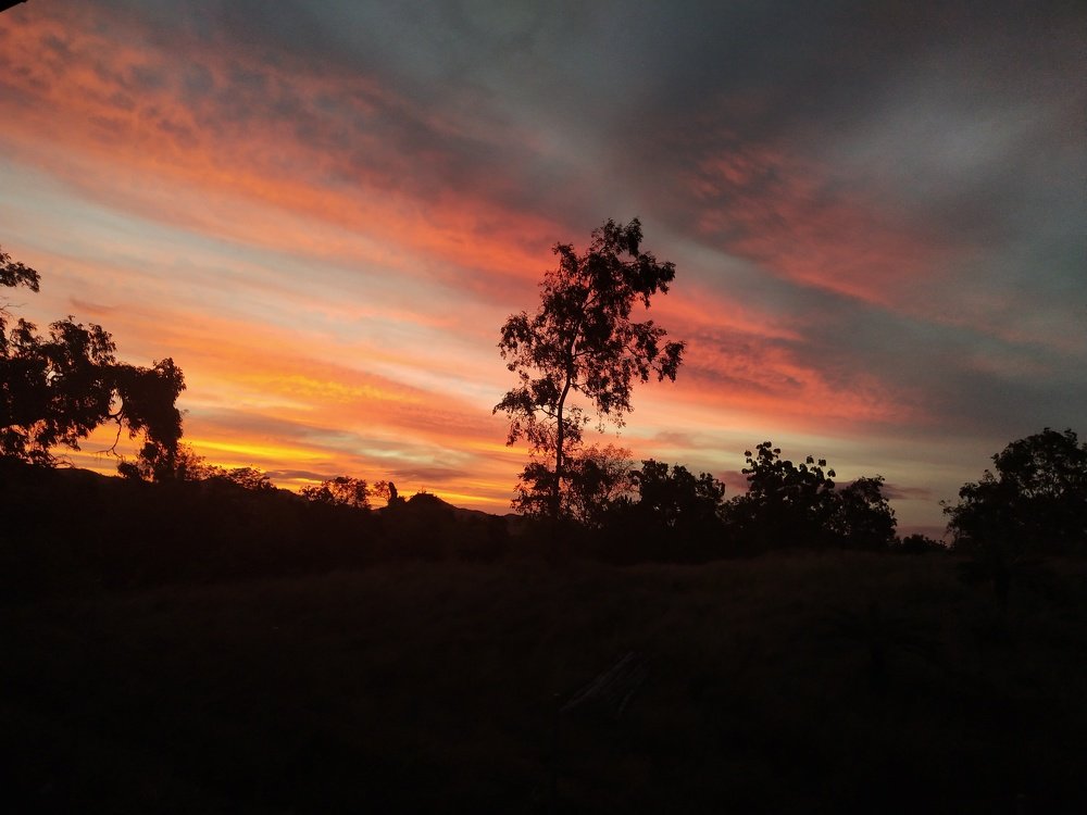 Photo #4913579