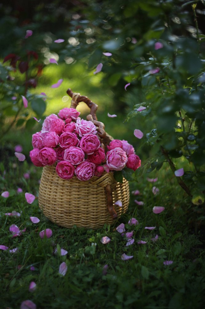 Photograph by Татьяна Кытина