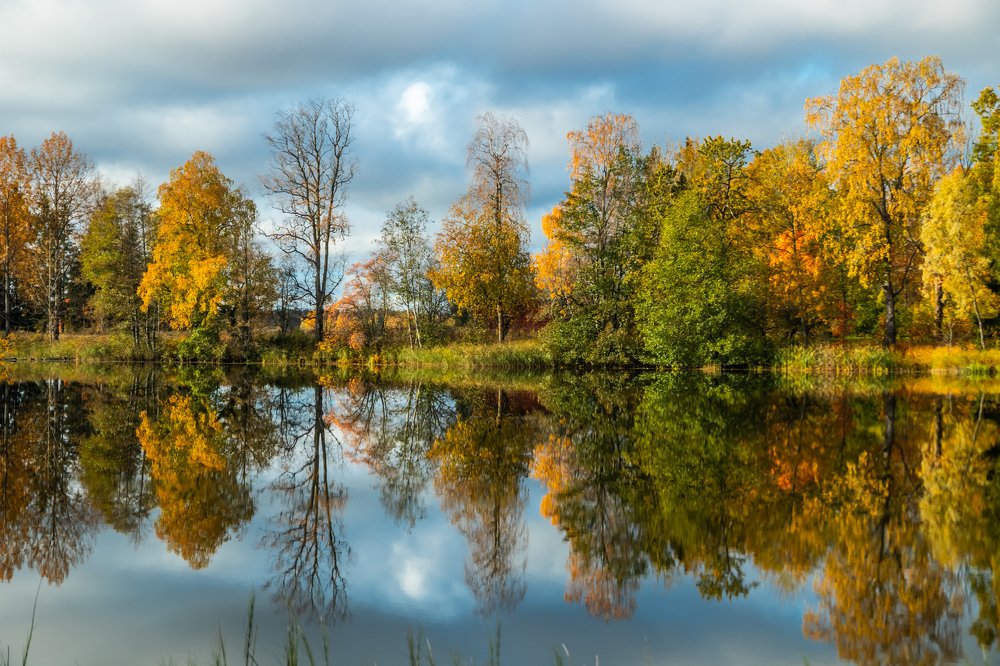 Photograph by Elena Noeva