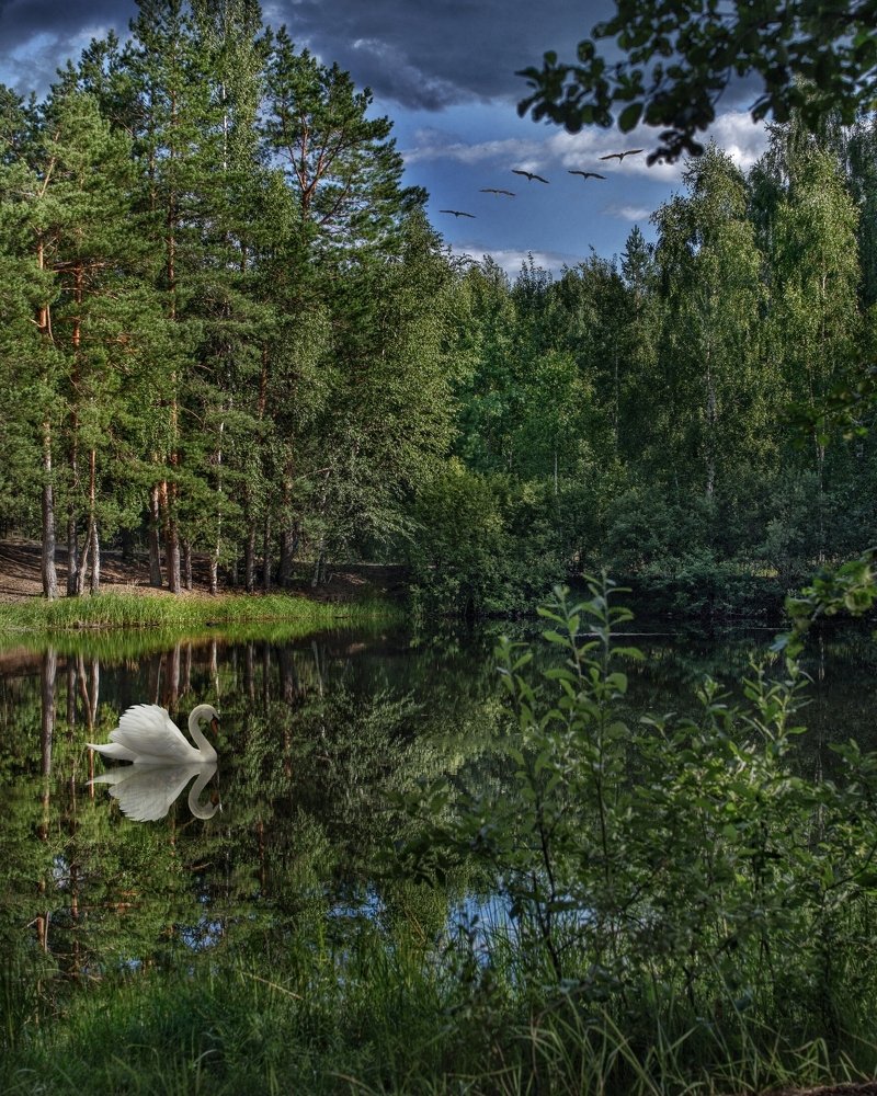 Photograph by Сергей Грицков