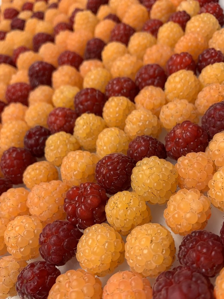 Photograph by Людмила Ефремова