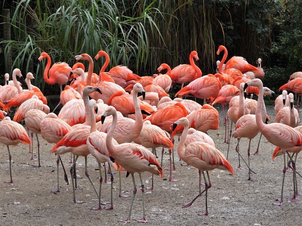 Photograph by Людмила