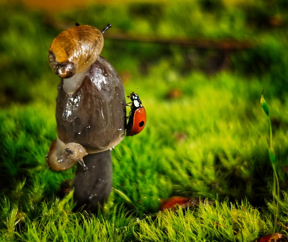 Photograph by Дмитрий Рассыльщиков