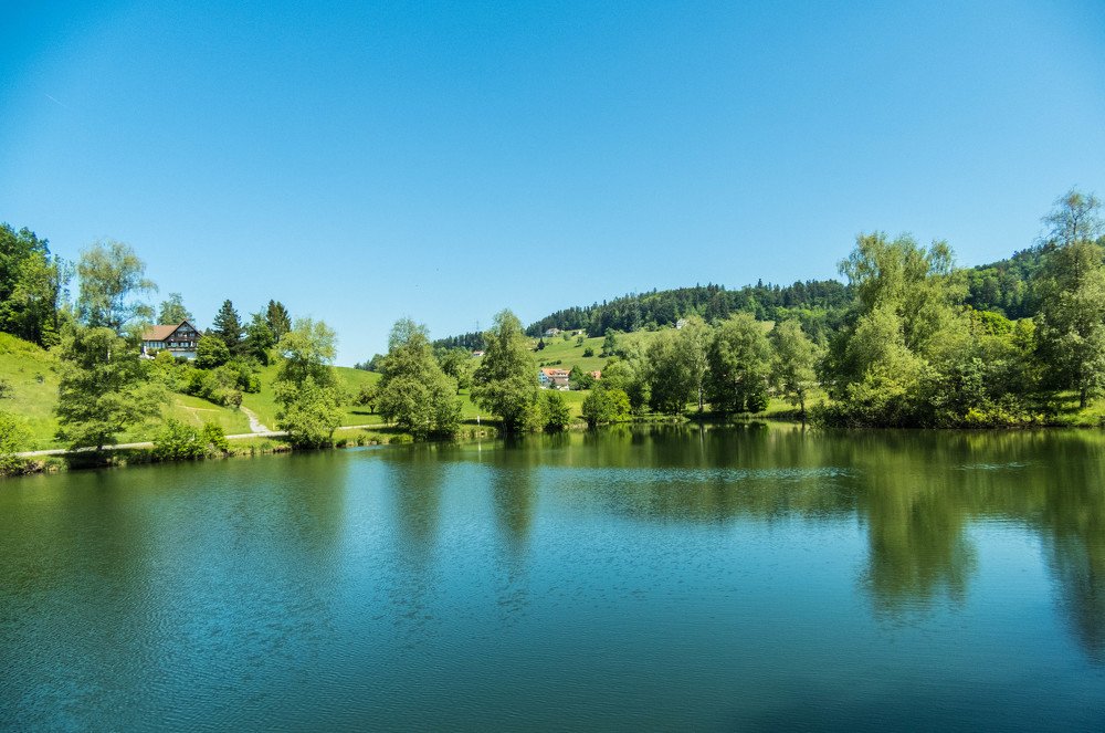 Photograph by Meier Zorica