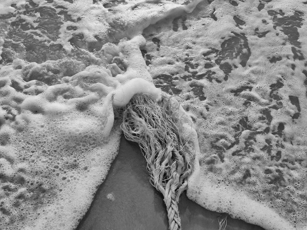 Photograph by Sai Vamsi Krishna Vintha