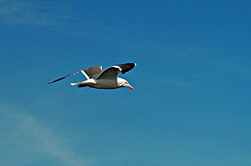 Photograph by Николай Почкалов