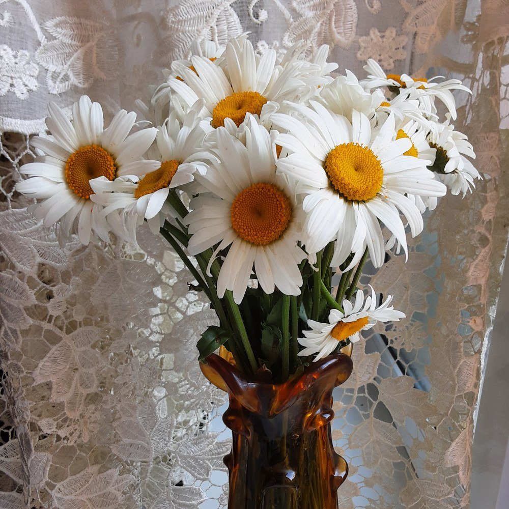 Photograph by Елена Шерман