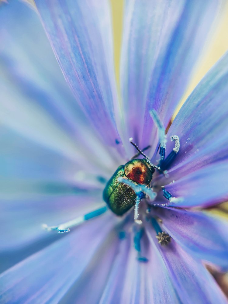 Photograph by Мария Фак