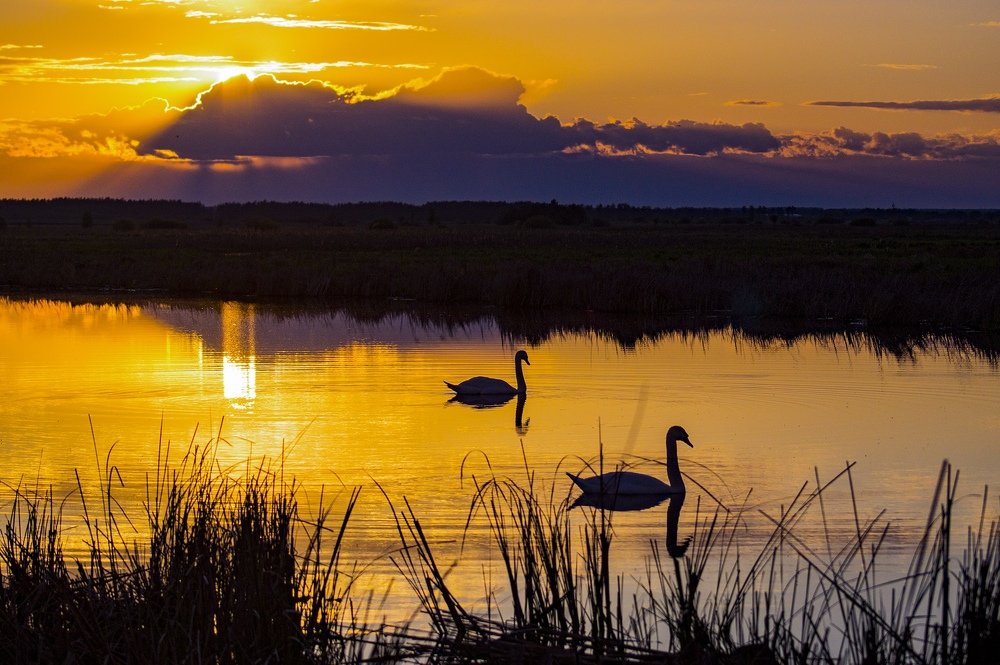 Фотография автора Александр Кременицкий
