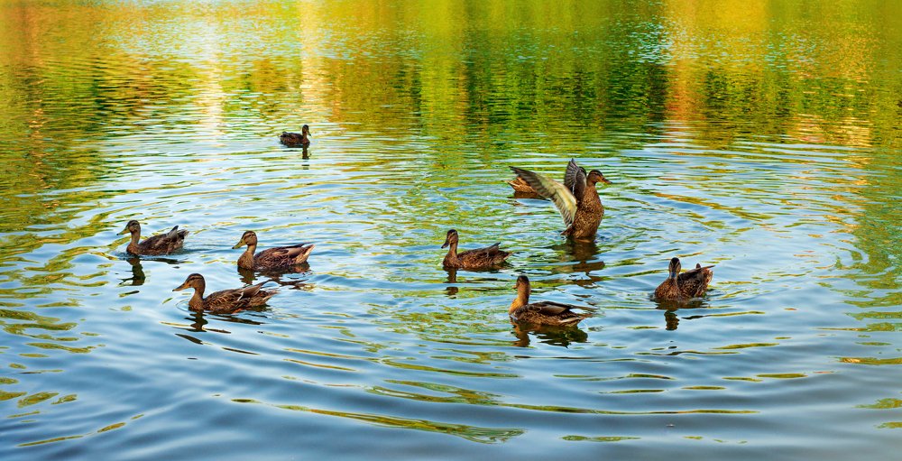 Photograph by Екатерина Саламайкина