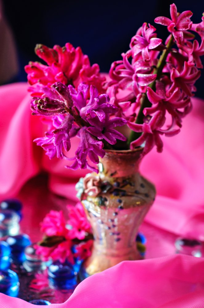 Photograph by Екатерина Саламайкина