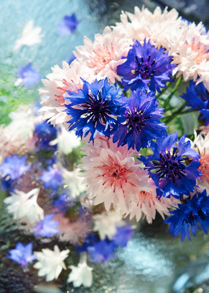 Photograph by Екатерина Саламайкина