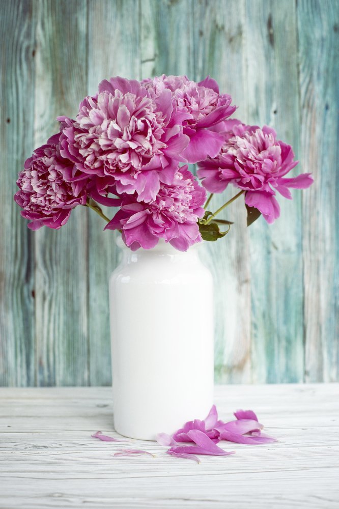 Photograph by Андрей Хаймин