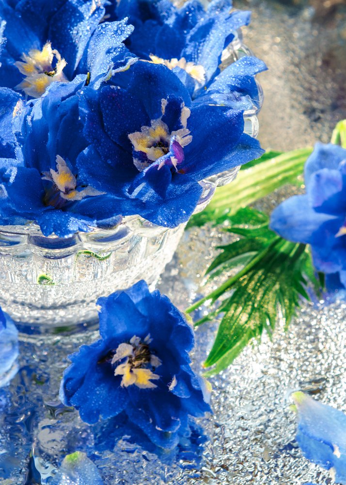 Photograph by Екатерина Саламайкина