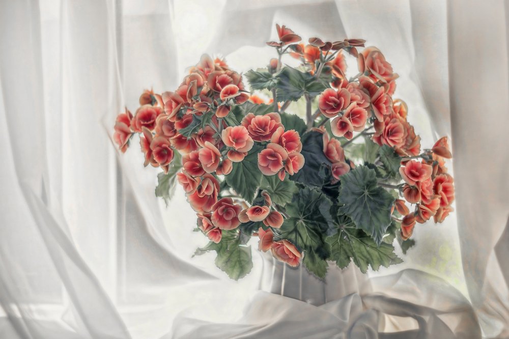 С Добрым утром!.....