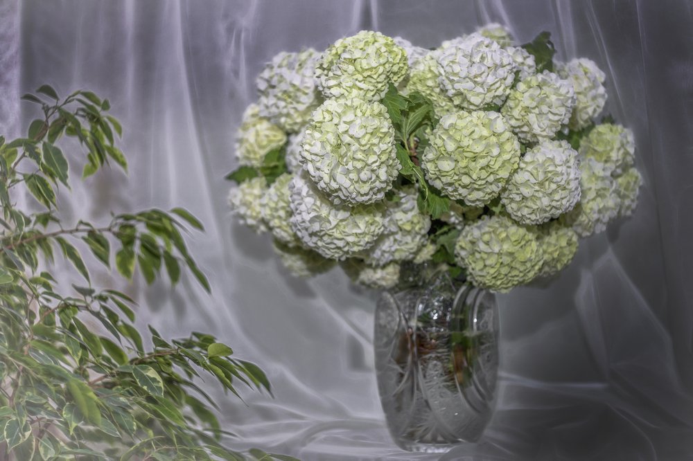 Воздушный зефир.....