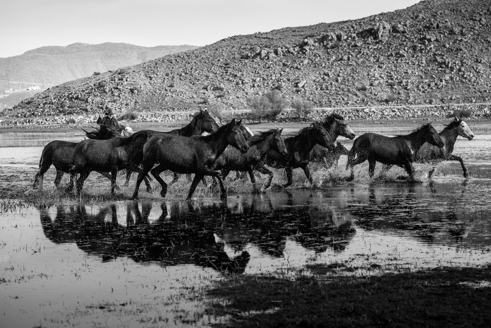 Photograph by RIDVAN HOŞGÖR