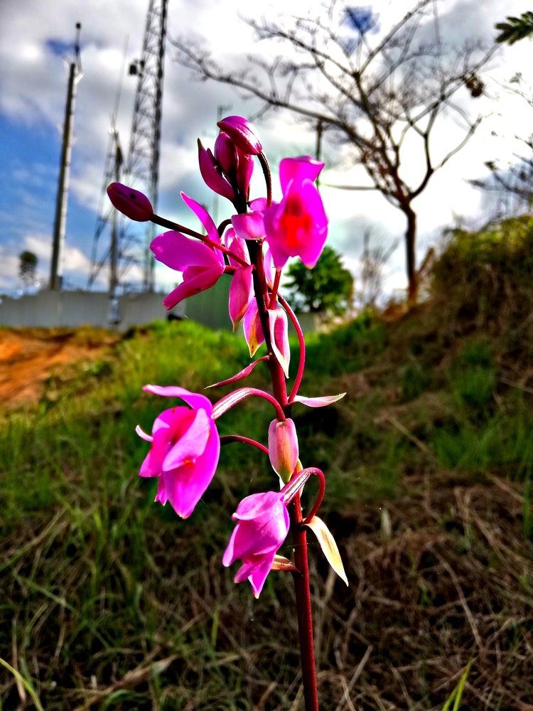 Photograph by Meldon Mare