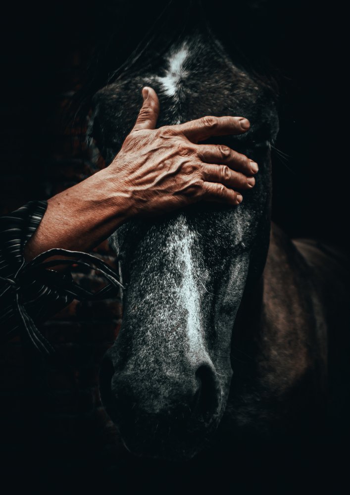 Фотография автора Пётр Чирков