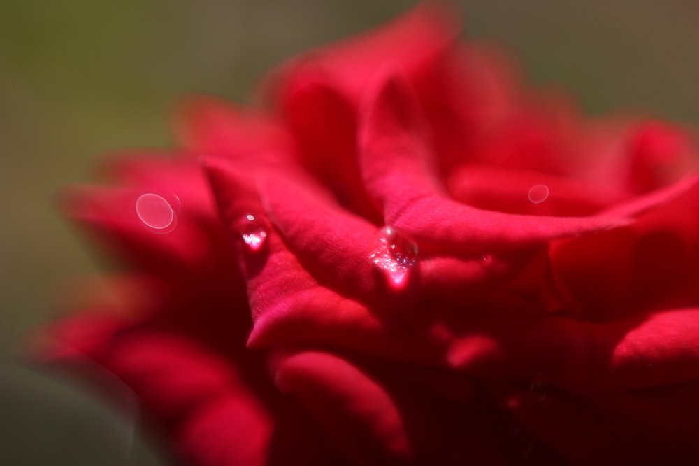 Photograph by Kirtan Vegad