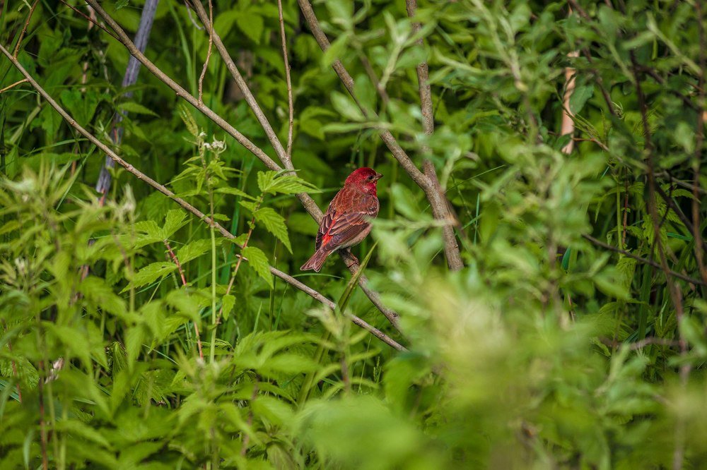 Photograph by Станислав Напалкин