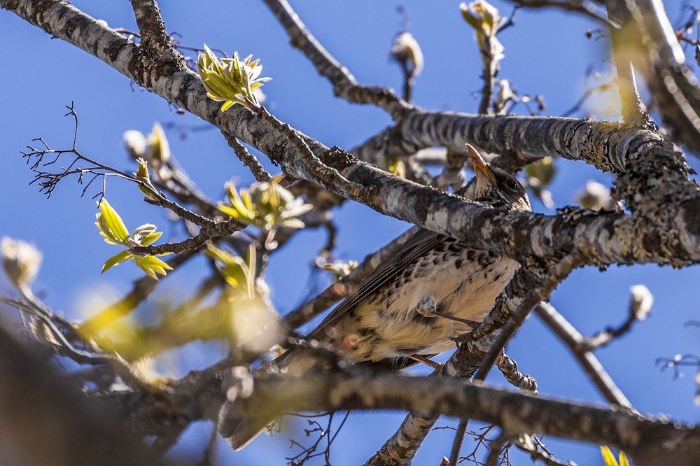 Photograph by Станислав Напалкин