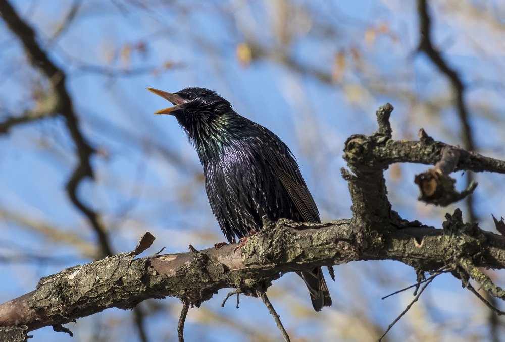 Photograph by Микола Мороз