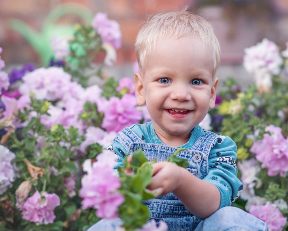 В цветочной клумбе