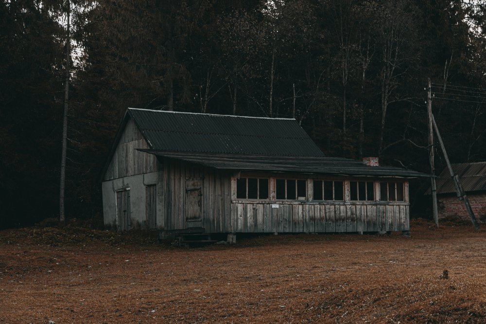 Старый сарай в лесу