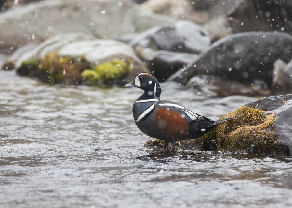 Photograph by Надежда Хаустова