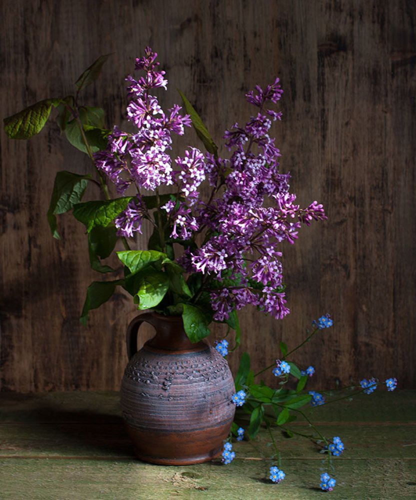 Photograph by Галина Щипакина