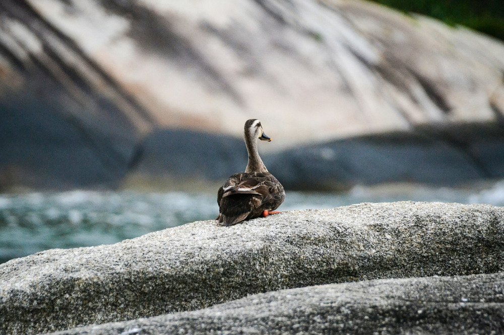 Photograph by Lola Vierse