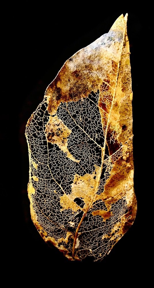 Photograph by Laura Secchi