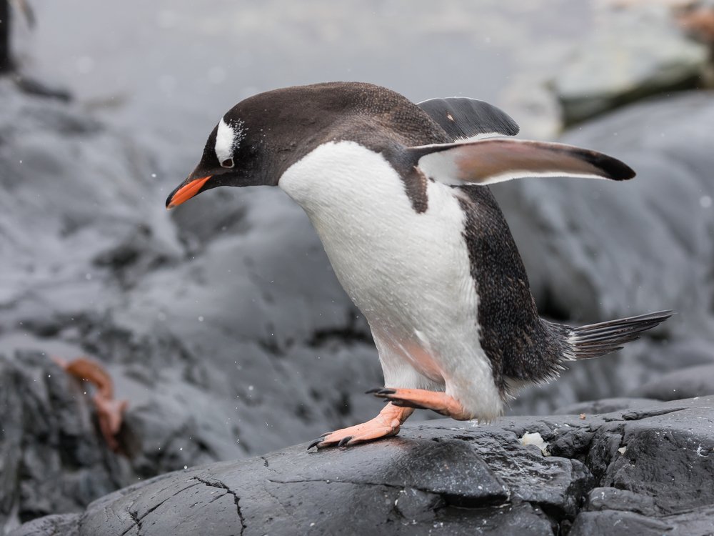 Photograph by Марина Маликова