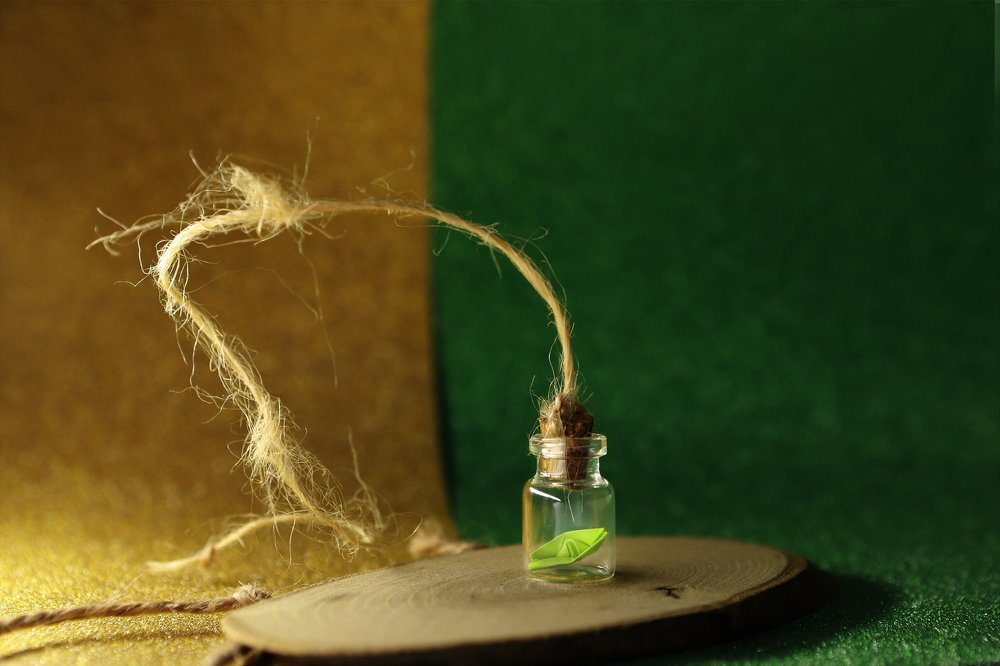 Фотография автора Gemini