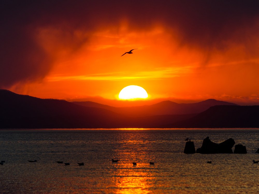 Photograph by Алексей Ожередов