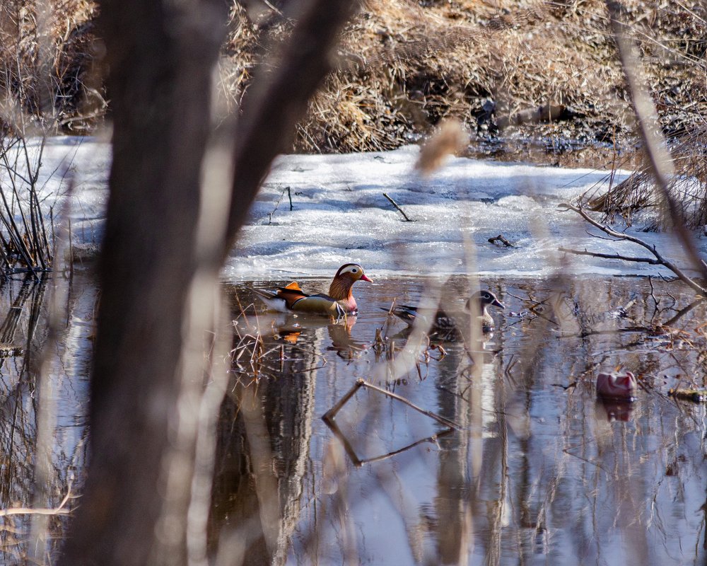 Photograph by Алексей Ожередов