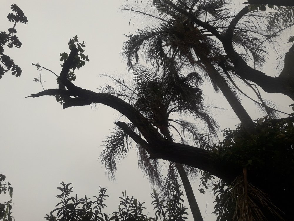Photo #4914638