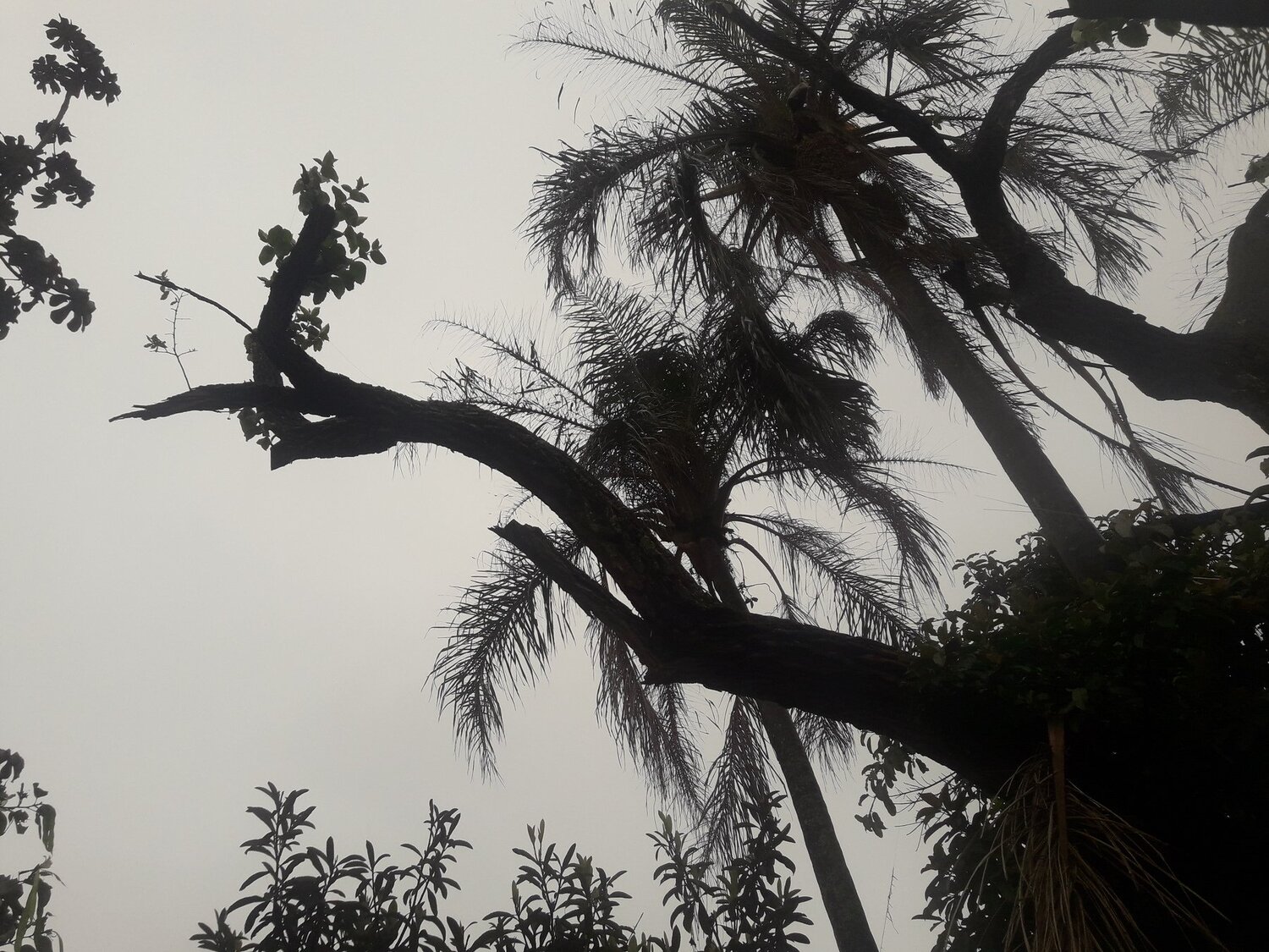 Photo #4914638