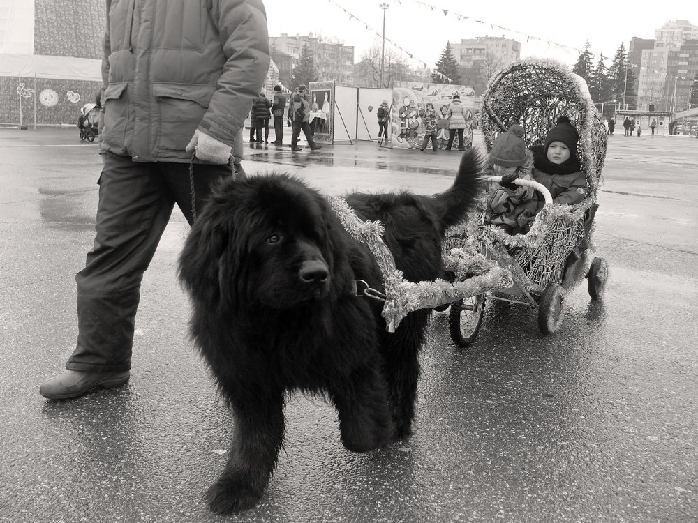 Масленица