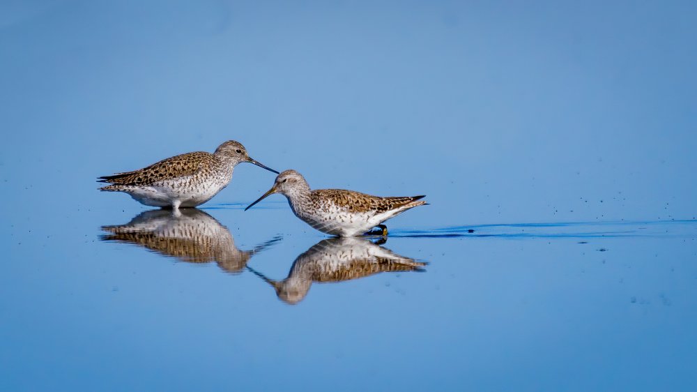 Photograph by Артем